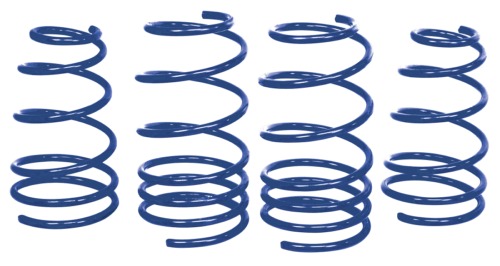 Lowering Springs